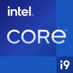 INTEL CPU 12TH GEN, I9-12900, LGA1700, 2.40GHz 30MB CACHE BOXED ALDER LAKE, GRAPHICS